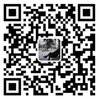 开云手机站登录入口